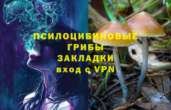 бошки Липки